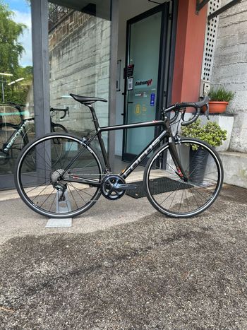 Gebrauchtes Focus IZALCO RACE 9.8 2020 2020 Road & Gravel