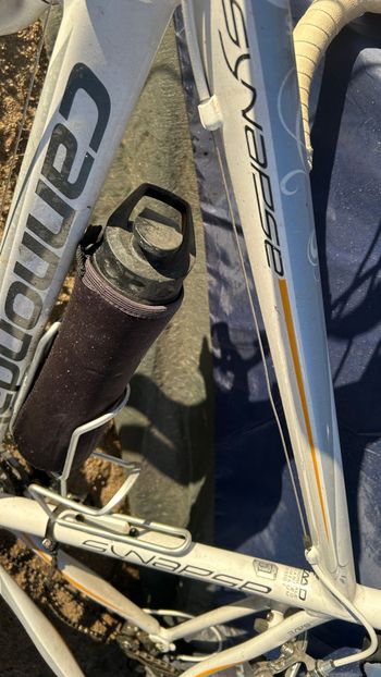 Used Cannondale Synapse Sora 2024 2024 Road & Gravel, White — image 3 of 5