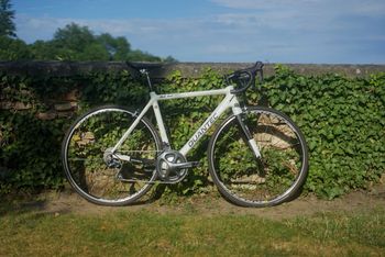 Gebrauchtes Quantec SLC 2.0 2014 Road & Gravel