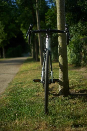 Brugt Quantec SLC 2.0 2014 Road & Gravel — billede 10 af 19