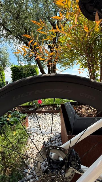 Brugt CIÖCC Blade ACR 2022 Road & Gravel — billede 7 af 12