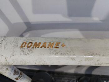 Trek Domane+ SLR 6 2025 2025 Road & Gravel usato, Bianco — immagine 8 di 11