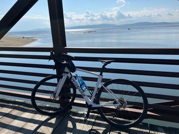 Used Specialized Roubaix SL8 Comp 2025 2025 Road & Gravel, White — image 3 of 3
