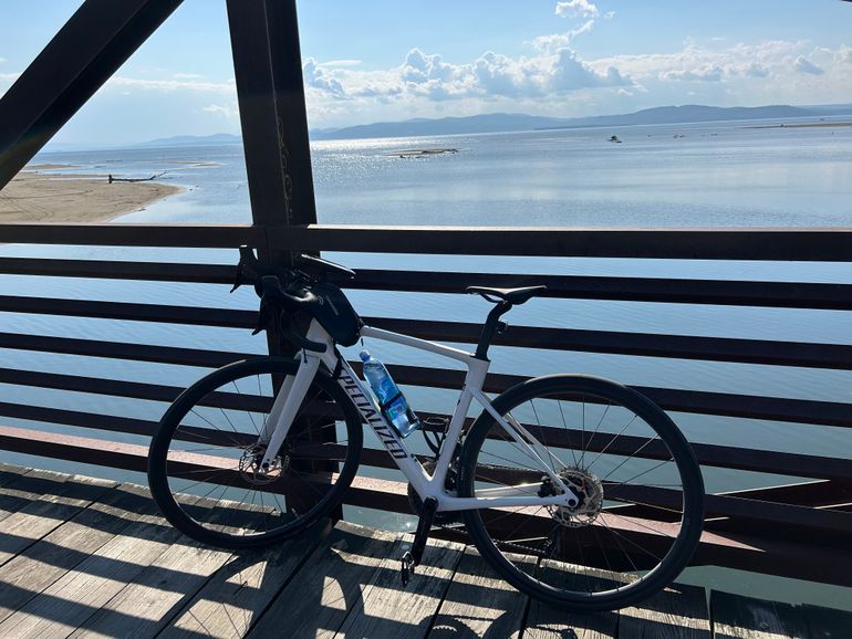 Used Specialized Roubaix SL8 Comp 2025 2025 Road & Gravel, White — image 3 of 3