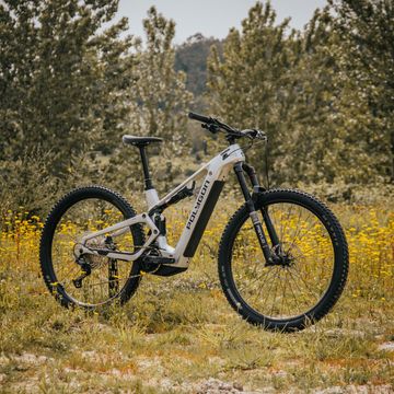 Used Polygon COLLOSUS TE 6 2027 Mountainbike, Light Gray — image 2 of 8