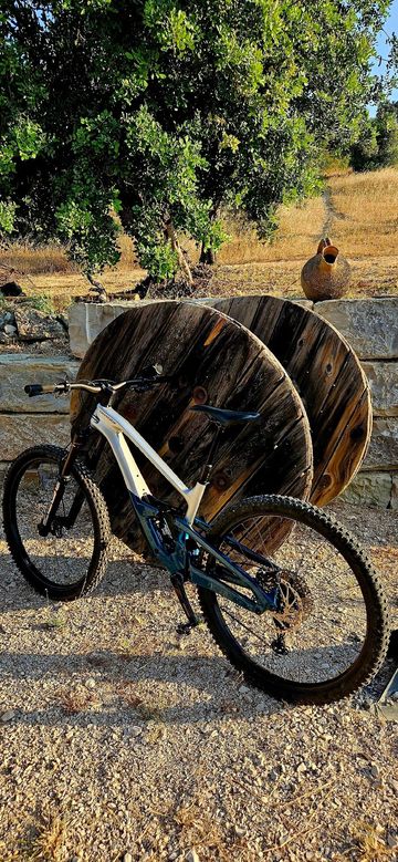 Used Cannondale Jekyll 2 2025 2025 Mountainbike, Blue, 29 — image 2 of 8