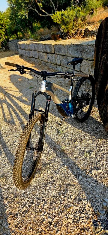 Used Cannondale Jekyll 2 2025 2025 Mountainbike, Blue, 29 — image 6 of 8