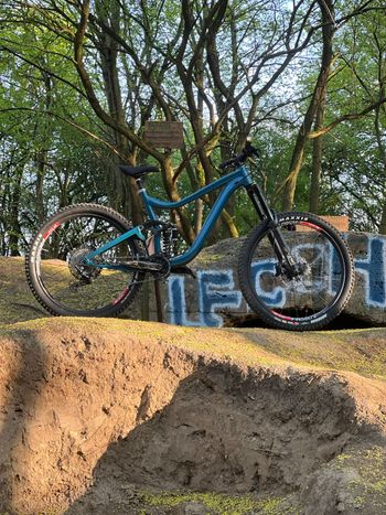 Used Giant Reign SX 1 2019 Frameset 2019 MTB