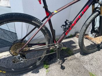 Brugt Focus RAVEN 9.9 2019 2019 Mountainbike — billede 3 af 4