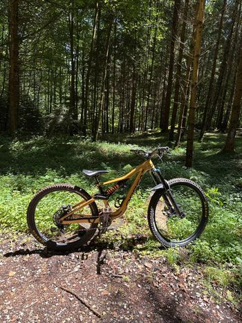 Brugt Orbea RALLON M10 2023 2023 Mountainbike — billede 4 af 5