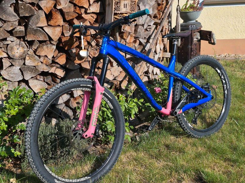 Used Dartmoor Hornet 2021 MTB
