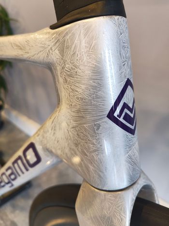 Brugt Megamo PULSE 04 SLR 2026 2026 Road & Gravel — billede 2 af 10