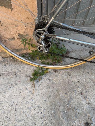 Used Fiorelli Custom Other Campagnolo 1973 Road & Gravel, Blue — image 5 of 5