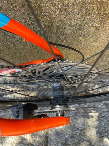 Brugt Cinelli Zydeco Lala 2023 2023 Road & Gravel — billede 16 af 22
