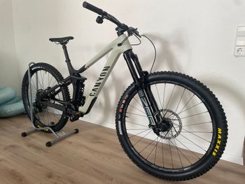 Used Canyon Strive CFR 2024 Frameset 2024 Mountainbike, Light Gray, 29 — image 3 of 5