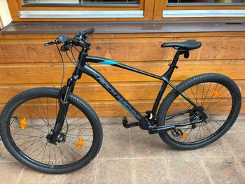 Used Rock Machine Custom Other Shimano 2024 Mountainbike, Black — image 14 of 15