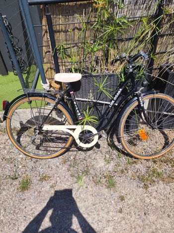 Luis ocana Custom 1979 Urban & Touring usato