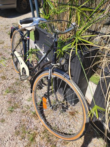 Used Luis ocana Custom 1979 Urban, Black — image 2 of 5