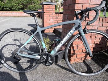 Tweedehands Lapierre SENSIUM 500 CP 2019 2019 Racefiets & gravel