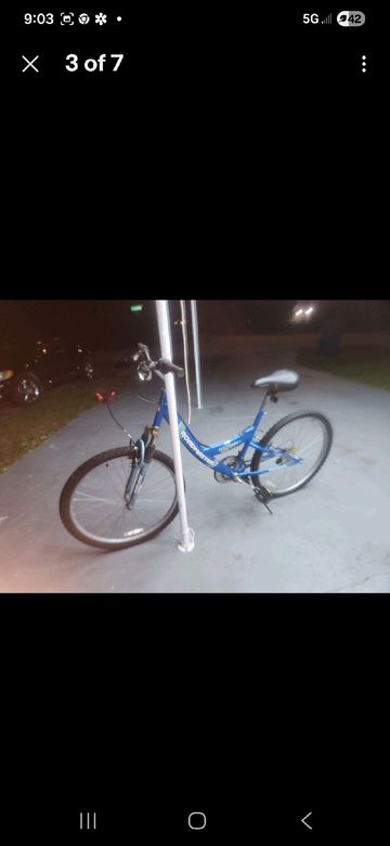 Used Roadmaster Custom Other 2003 Mountainbike, Blue — image 2 of 3