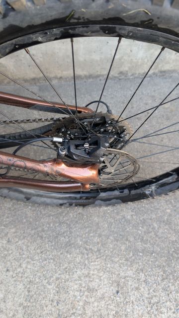 Tweedehands Giant Reign SX 2024 2024 Mountainbike — afbeelding 9 van 13