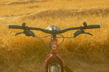 Gebrauchtes Kona Unit X 2023 2023 Mountainbike, Rot — Bild 10 von 15