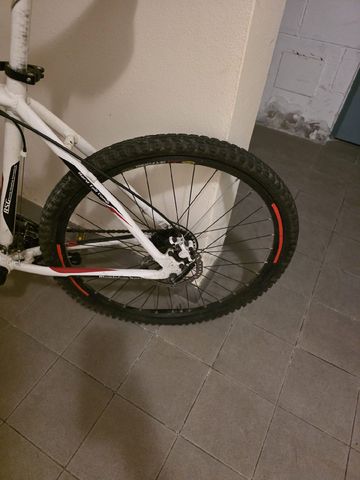 Used Bottecchia Custom Shimano Acera 2014 Mountainbike, White — image 5 of 6