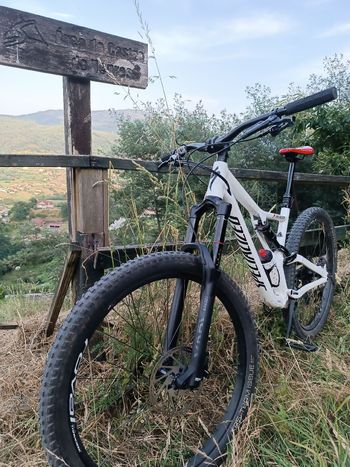 Specialized Men's Stumpjumper Comp Alloy 29 - 12-speed 2020 2020 VTT d'occasion