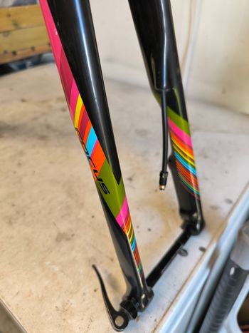 Brugt Focus PARALANE Ultegra Di2 2018 Frameset 2018 Road & Gravel — billede 6 af 26