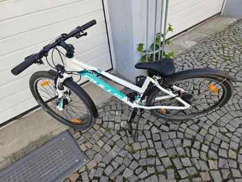 BULLS Wildstreet 2021 VTT d'occasion