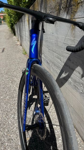 Used Tarmac Custom Frameset 2024 Road & Gravel, Blue — image 4 of 6