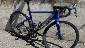 Used Tarmac Custom Frameset 2024 Road & Gravel