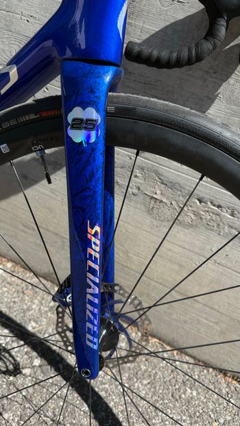 Used Tarmac Custom Frameset 2024 Road & Gravel, Blue — image 3 of 6