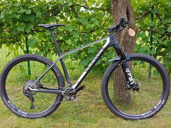 Gebrauchtes Canyon Exceed CF SL 7.0 2019 2019 MTB