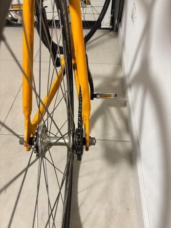 Used Chiorda Custom Other 2015 Road & Gravel, Orange — image 4 of 8