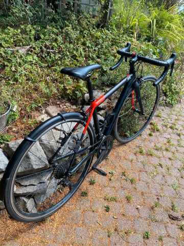 Použité Stevens Stelvio 2024 2024 Road & Gravel — obrázek 5 z 8