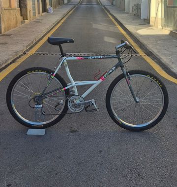 Used Alpinestars Custom Shimano Deore 1992 MTB
