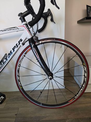 Käytetty Olympia Custom Campagnolo Veloce 2012 Road & Gravel — kuva 4 / 5