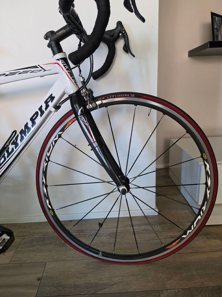 Käytetty Olympia Custom Campagnolo Veloce 2012 Road & Gravel — kuva 4 / 5