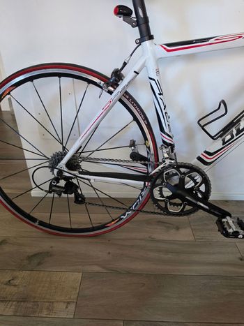 Käytetty Olympia Custom Campagnolo Veloce 2012 Road & Gravel — kuva 3 / 5