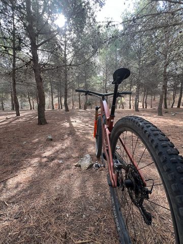 Tweedehands Trek Fuel EXe 9.7 2024 2024 Mountainbike — afbeelding 2 van 10