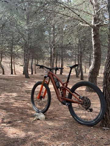 Tweedehands Trek Fuel EXe 9.7 2024 2024 Mountainbike — afbeelding 6 van 10