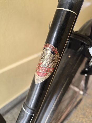 Used Acquila Custom 1967 Urban, Black — image 14 of 15