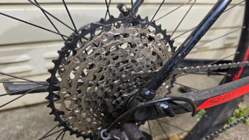 Used Scott Scale 950 2020 2020 Mountainbike, Blue, 29 — image 3 of 7
