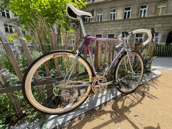 Brugt Francesco Moser Custom Campagnolo Mirage 1989 Road & Gravel — billede 2 af 9