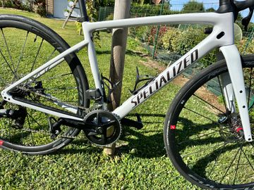 Used Specialized Diverge Base Carbon 2021 Frameset 2021 Road & Gravel, Light Gray — image 4 of 5