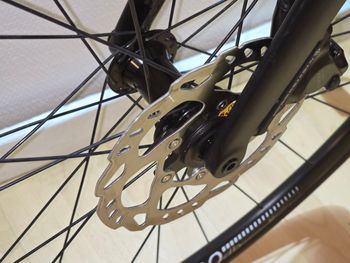 Used Cannondale Caad Shimano 105 2025 Road & Gravel, Black — image 28 of 31