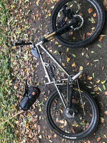 Used Kingdom Custom Frameset 2020 Mountainbike, Light Gray — image 5 of 5