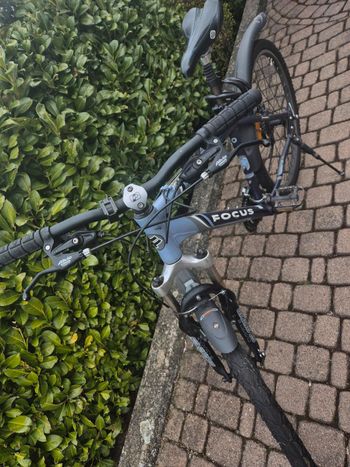 Gebrauchtes Focus Mountainbike 26 Zoll 2009 MTB