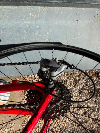 Specialized Allez Sport 2019 2019 Route & Gravel d'occasion